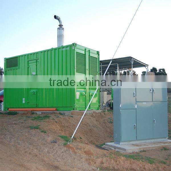 ANIMAL WASTE BIO GAS GENERATION POWER PLANT 20KW-500KW