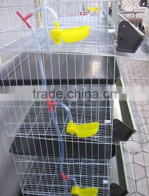 Quail cage with automatic water system