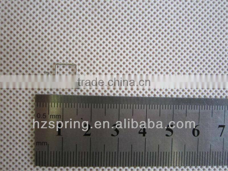 Stainless Steel Double Body Torsion Spring