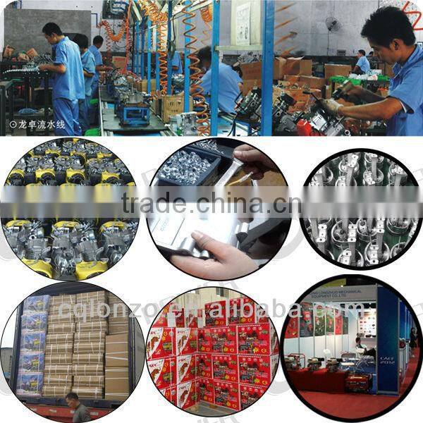 1KW Electric Start Portable Gasoline Generator With CE And SONCAP