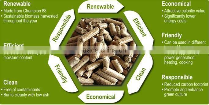 High capacity wood pellet making machine for biomass project with screw feeder