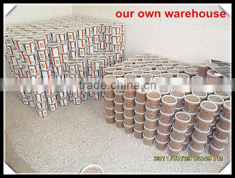 7 cm Freeze dried Fish for Pet (turtle;lizard);Factory Price Dried fish