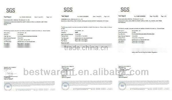 Premium Healthy Pyramid silicone Baking Mat