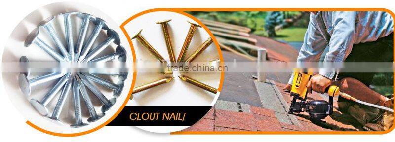 Black clout nails, Roofing nails, Linoleum nails with factory price