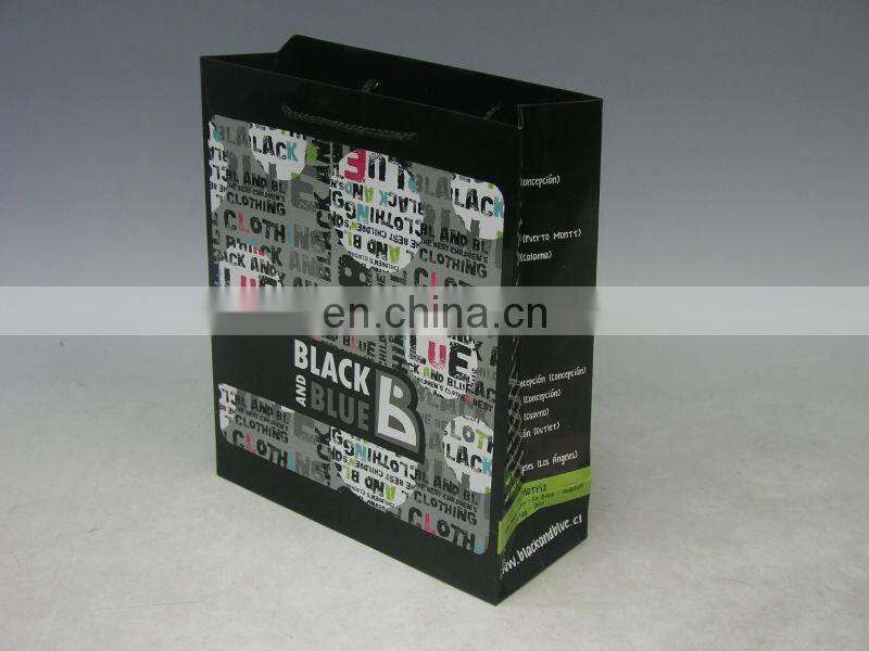 2013 luxury paper bag