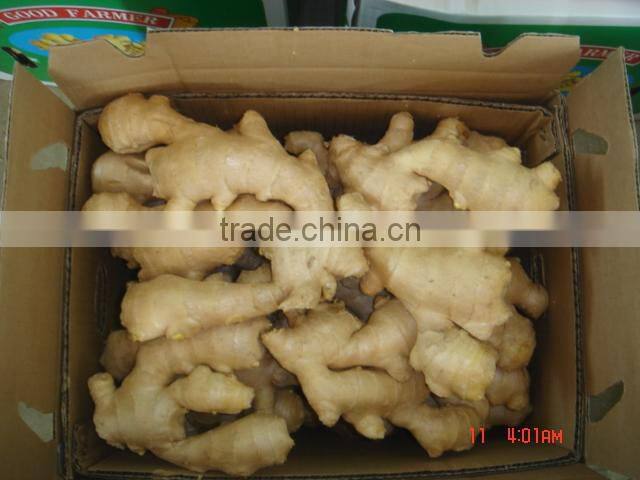 Chinese fresh ginger