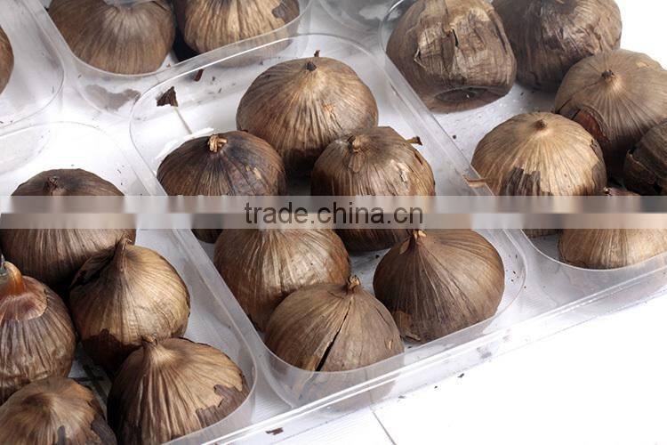 China black single clove garlic