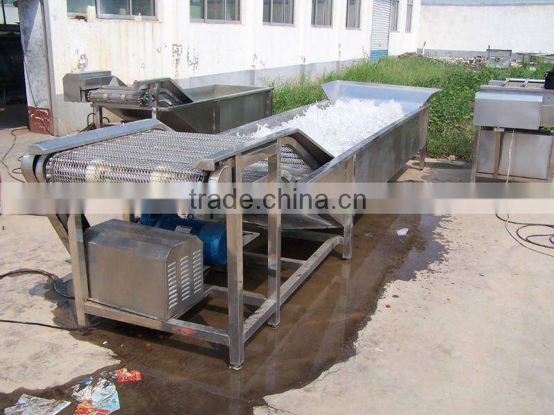 bubble washing machine/food machine /food processing machine/vegetable processing machine