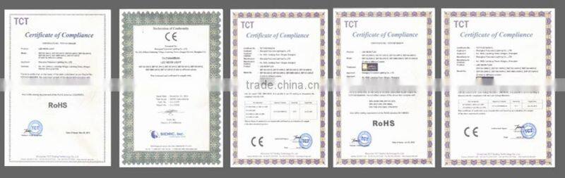 Dome Surface Led Pixel Flex Neon Light for Walkway Guiding-Line