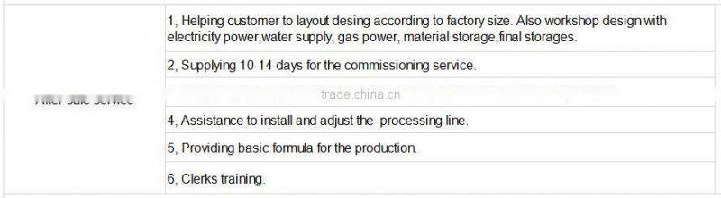 CE Certificated Continuous Automatic Instant rice equipment