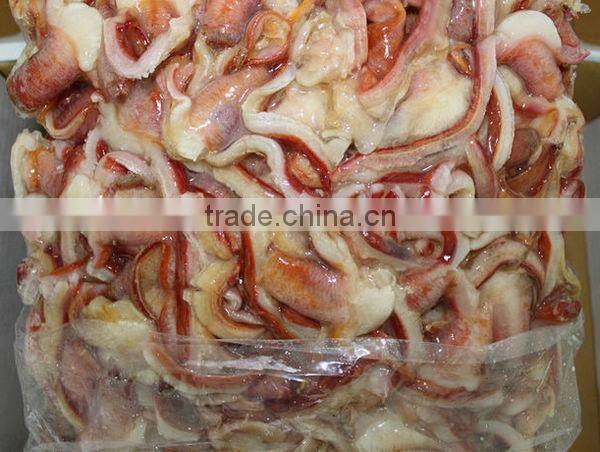 frozen arctic surf clam edge