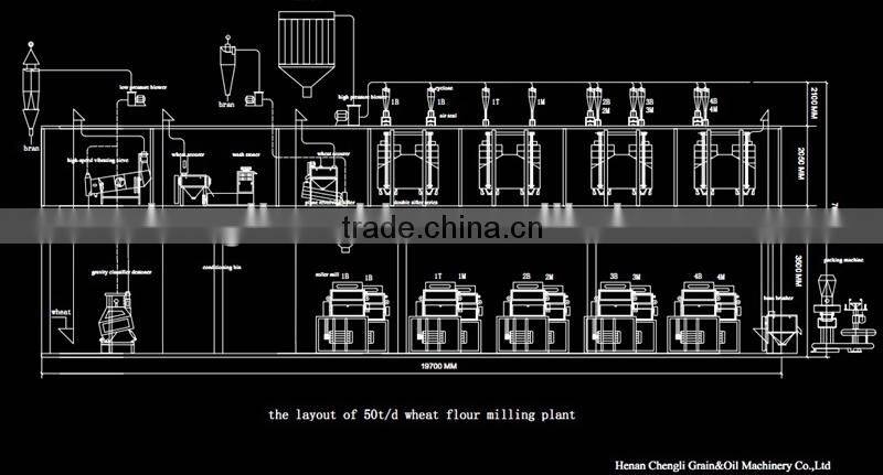 flour semolina mill