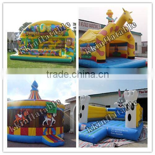 PVC Double slide toys bouncer inflatable for play center