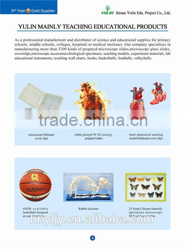 stand for Funnel filtration/physical science lab equipment