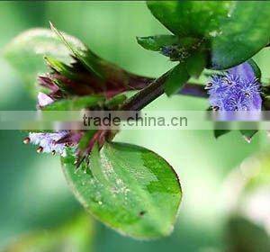 Ecdysone CAS No 5289-74-7