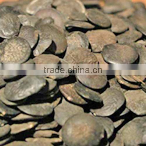 Ghana seed extract/5-Hydroxytryptophan (5-HTP)