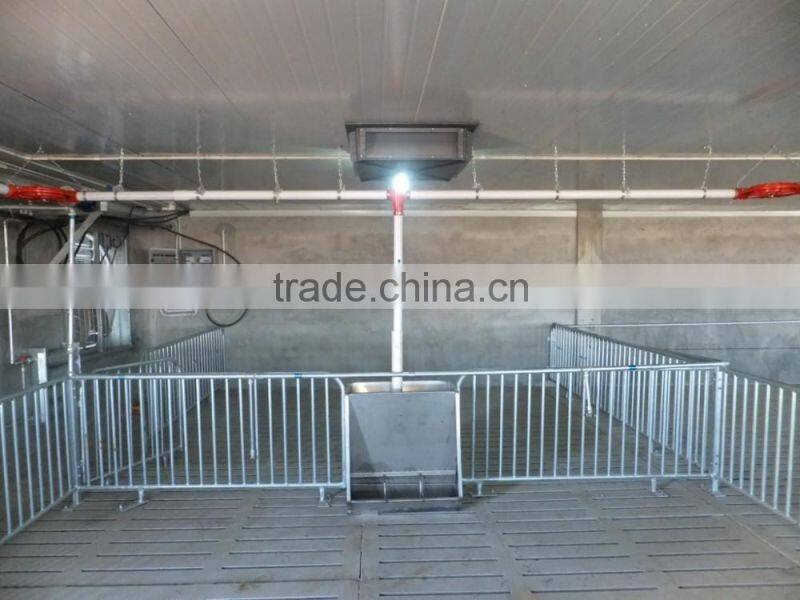 Pig stainless steel double sided, three-head feeder