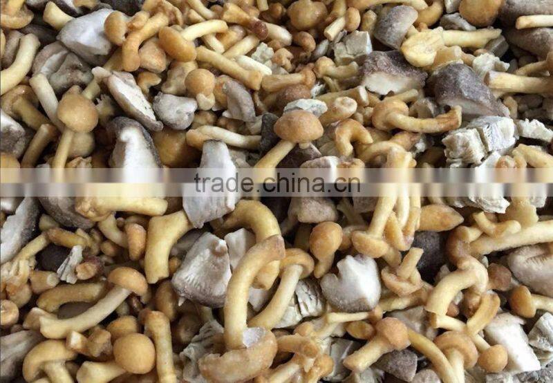 IQF Frozen Shiitake Mushroom Whole/Cuts/Slices