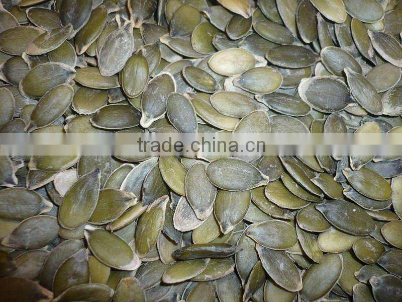 Snow white pumpkin seed.cushaw seed