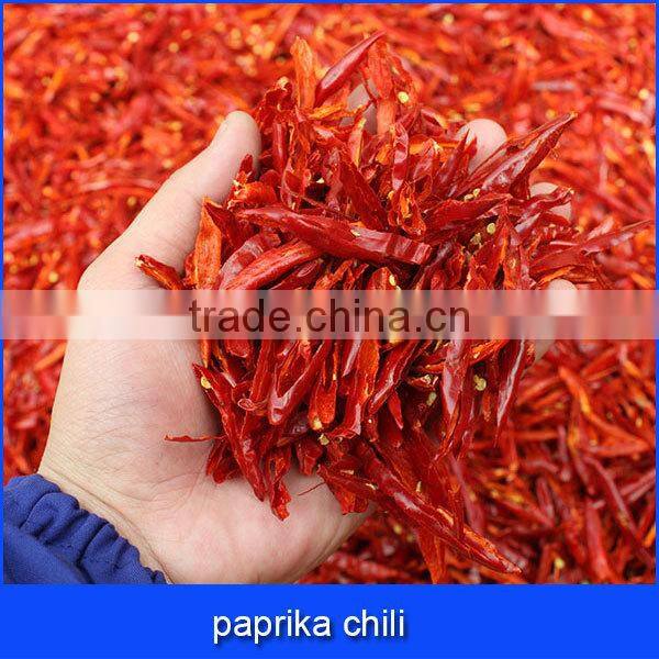 paprika chili