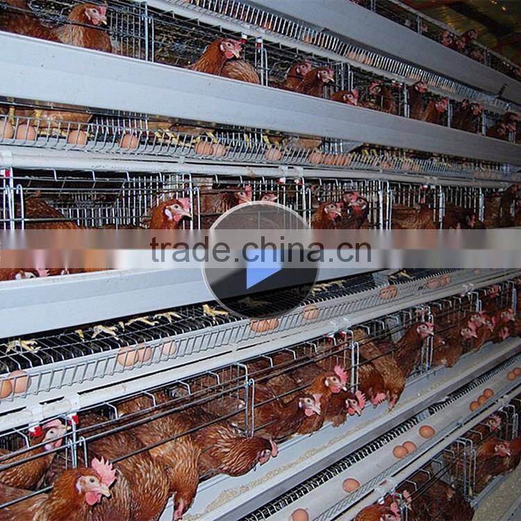 3,4,5,6tiers cage chicken cages for breeding