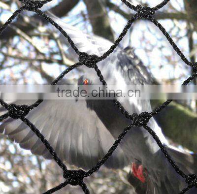 orchard Net, professional agriculture net, plant support net