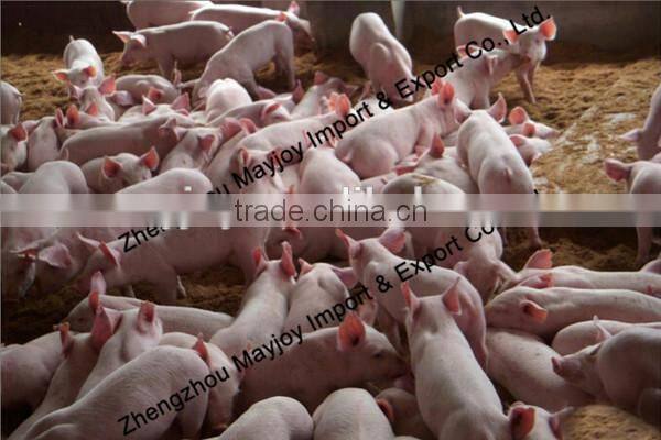 New Technology Advanced 2ton/3.5ton Bulk Feed Tank/Feed Container/Skype:mayjoy61