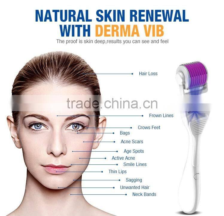 Hot sale 6 in 1 derma roller 540 Needles Micro Needle Roller Multifunction PDT Interchangeable Roller Derma Vib