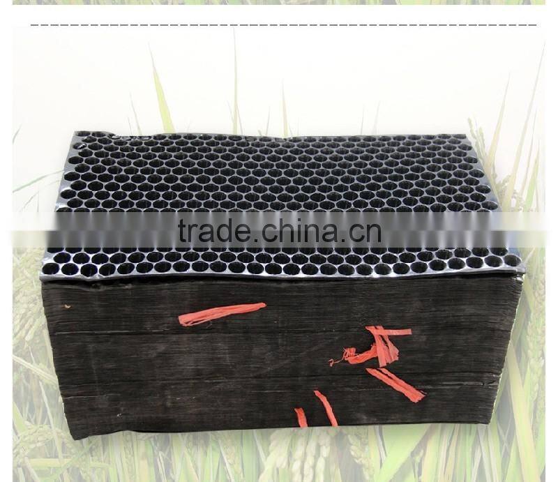 434cells hybrid rice seed sprouts, hydroponic propagator, 70g