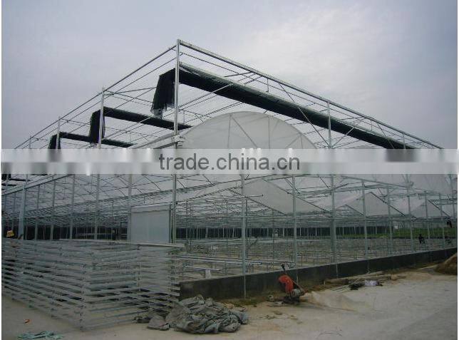 greenhouse with cooling fan for agricultural