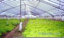 agriculture plastic film with UV