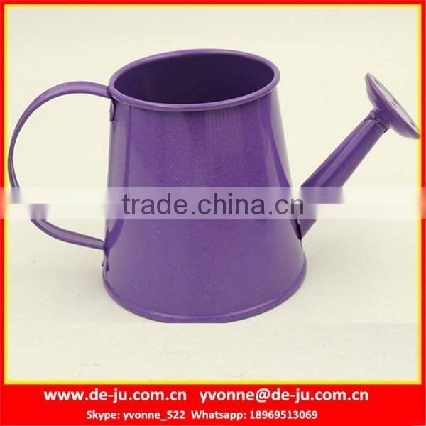 Modern Popular Metal Watering Pot