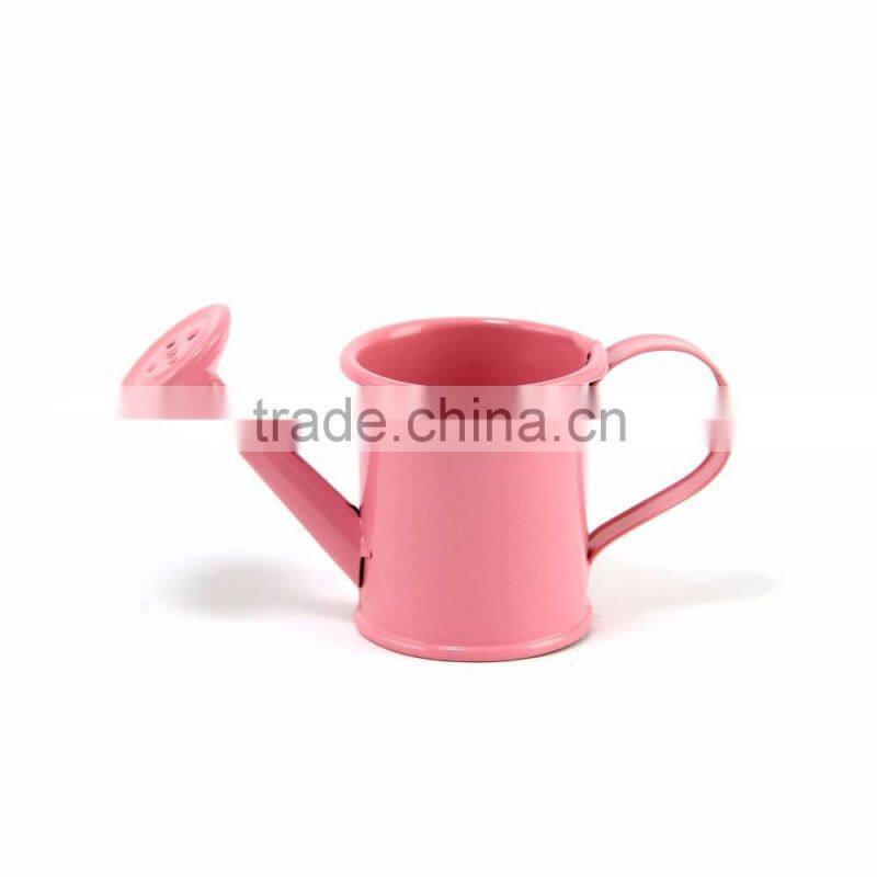 Mini Metal Watering Cans Wedding Party Gift Garden Tools