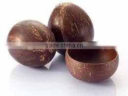 Natural coconut bowl / Vietnam wholesale cheap price lacquer coconut shell bowl