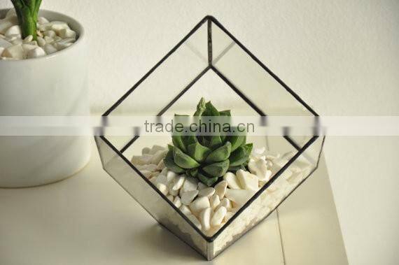 Indoor Gardening Geometric Glass Terrarium Container Succulent Planter