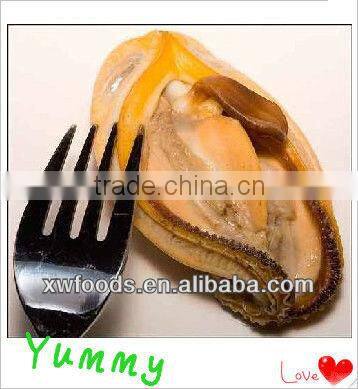 IQF cooked blue mussel meat