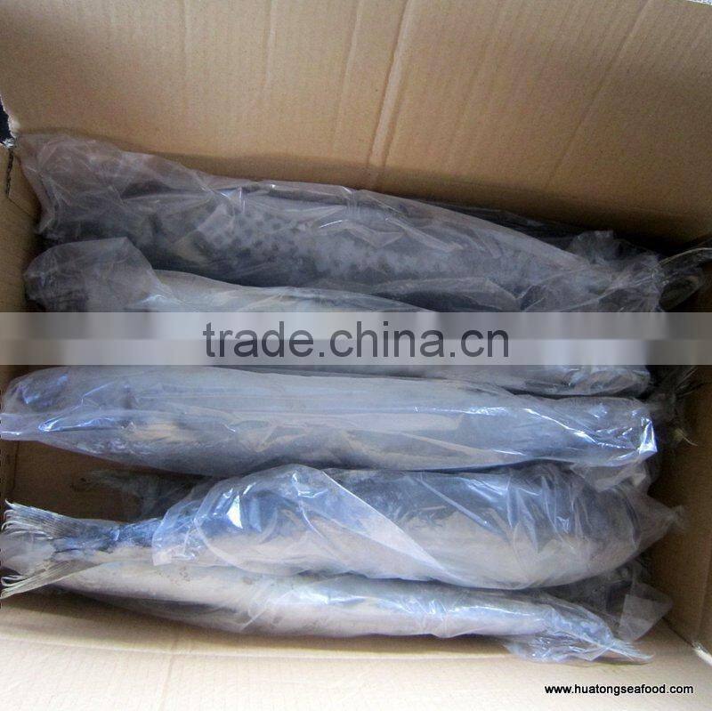 frozen spanish mackerel steaks