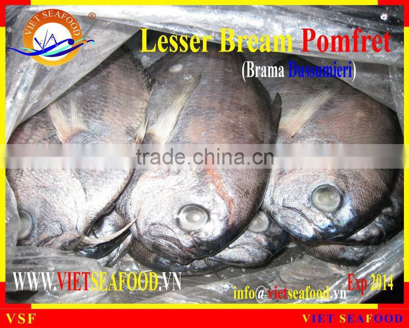 FROZEN LESSER BREAM POMFRET W/R