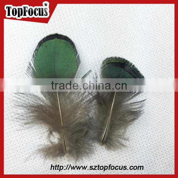 new hot carnival costume trimming fringe green pheasant feathers prices