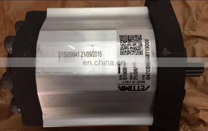 Italy Settima G55C090FSBT150EDV G47C045FBTB0DV Oil pump, gear pump, screw pump