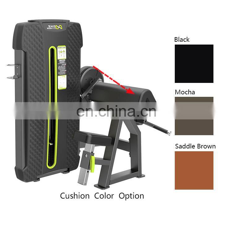 Hot Selling Dhz Fitness E4030A Indoor Commercial Gym Equipment For Camber Curl