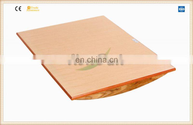 Physiotherapy Balance Board Vestibular Board