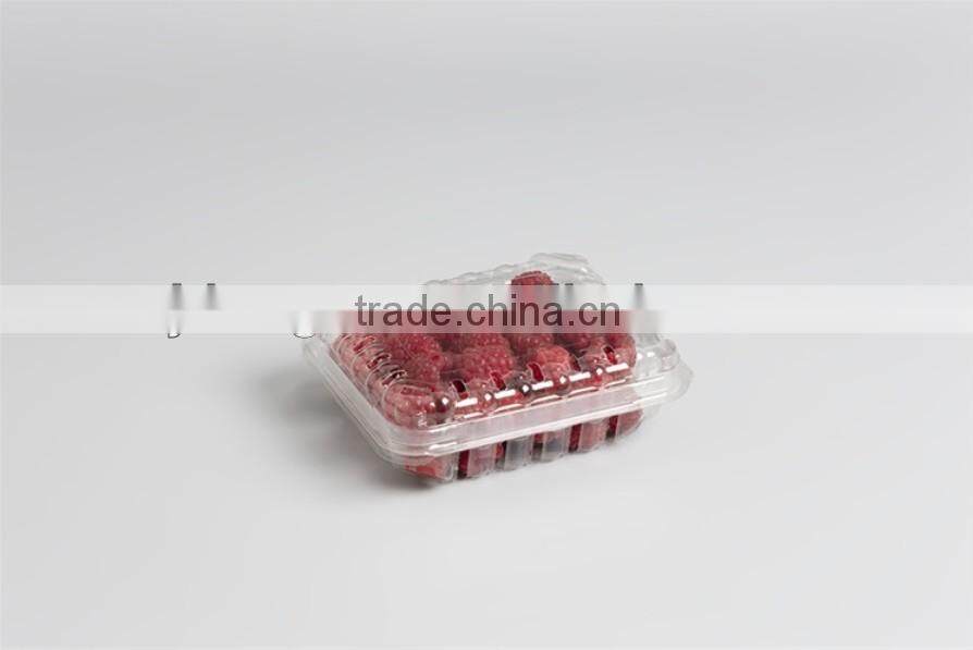 Clear fruit box.plastic fruit container.plastic square fruit box .factory direct plastic fruit box.eco-friendly plastic box