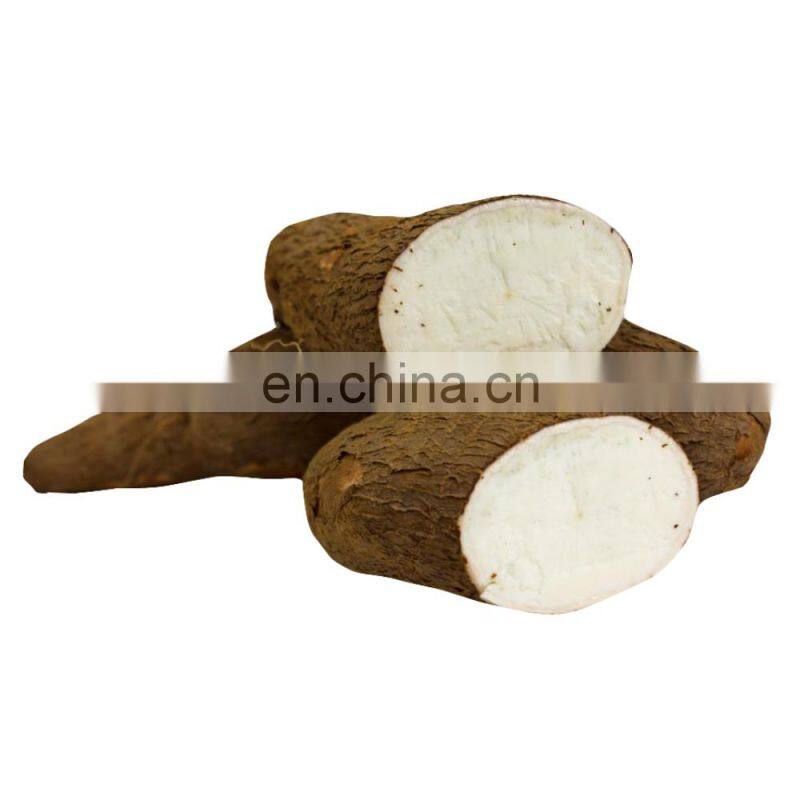 Plant Extract Root Part Solvent Extraction Bag Packaging Tapioca Starch Powder For Baking Applications