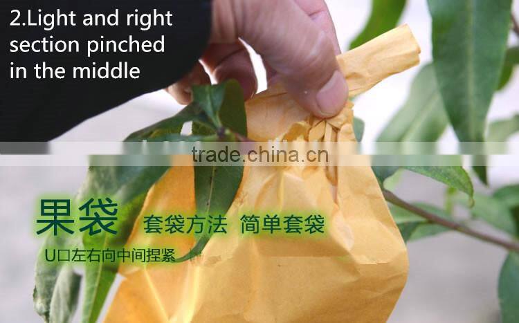 Fruit cover peach bag/kiwi fruit bag/mango bag