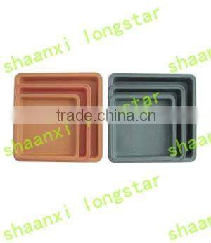 50cell Black Plastic seeding tray