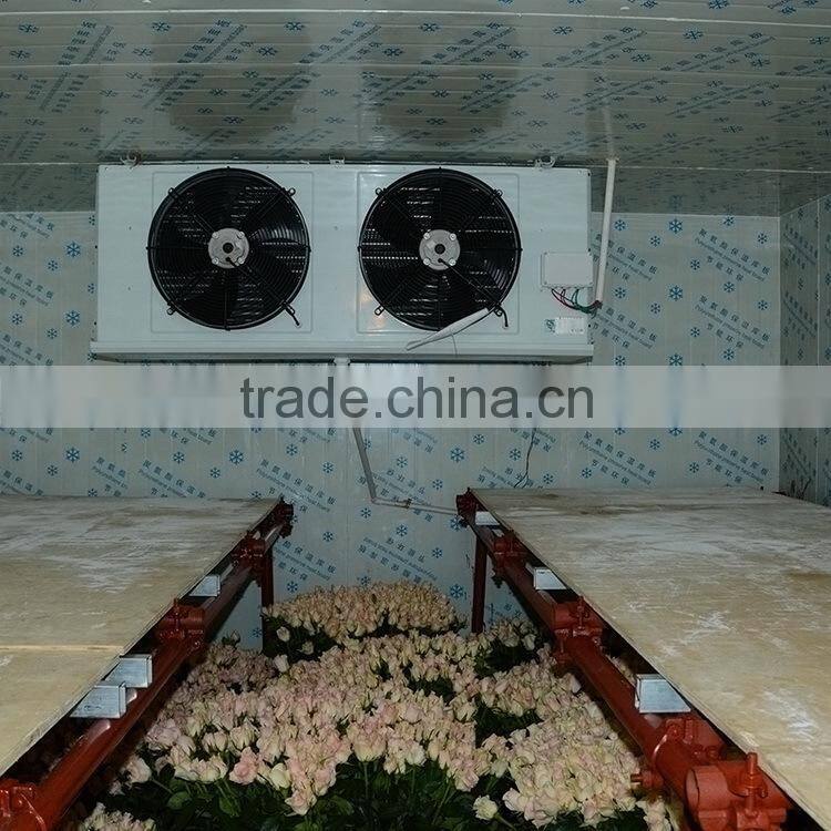 Fresh cut useful cut violet flower