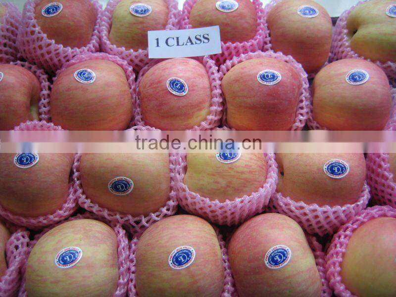 2014 new crop chinese fresh fuji apple