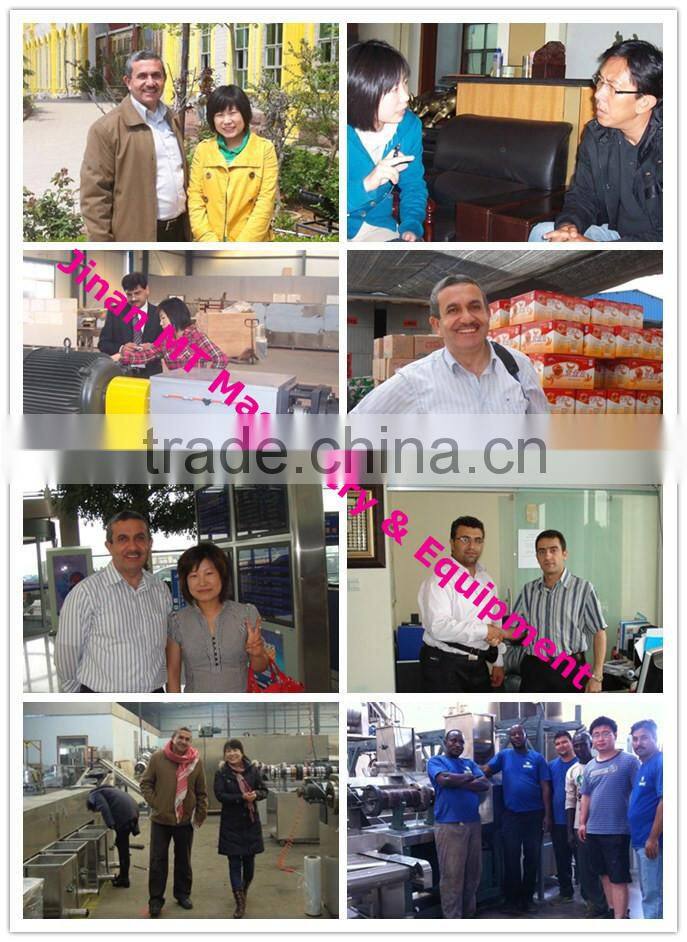 Fried Cheetos/Kurkure/Niknak Processing Line