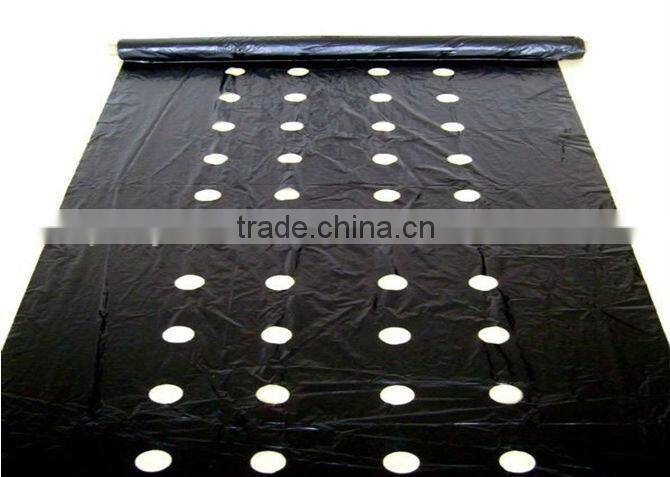 PE High Quality plastic biodegradable agricultural mulch film